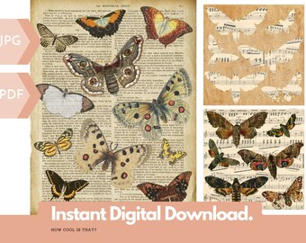 Printable Vintage Butterfly & Moth illustrations for your art journals, scrapbooks, collage, junk journaling, etc. Digital Ephemera Music