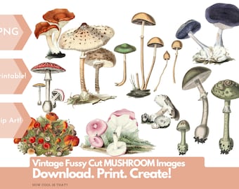 More Printable Fussy Cut Vintage Mushroom illustrations Volume 2! Digital Ephemera for your art journals, scrapbooks, collage, junk journals