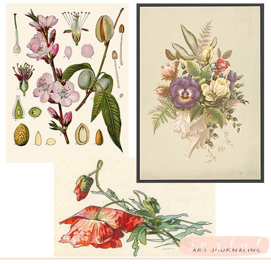 30 Copyright Free, Printable Vintage Flower Images for Your Art ...