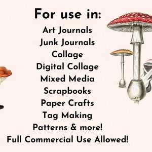 More Printable Fussy Cut Vintage Mushroom illustrations Volume 2 Digital Ephemera for your art journals, scrapbooks, collage, junk journals image 4