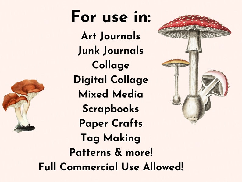 More Printable Fussy Cut Vintage Mushroom illustrations Volume 2 Digital Ephemera for your art journals, scrapbooks, collage, junk journals image 4