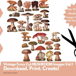 Printable Fussy Cut Vintage Mushroom illustrations for art journaling, scrapbooks, collage, junk journals, mixed media etc. Digital Ephemera