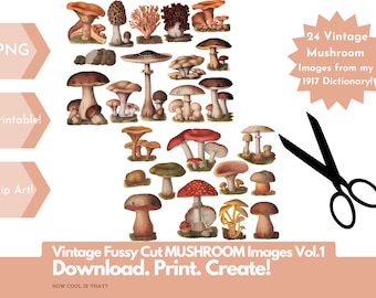 Printable Fussy Cut Vintage Mushroom illustrations for art journaling, scrapbooks, collage, junk journals, mixed media etc. Digital Ephemera
