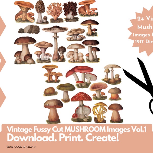 Printable Fussy Cut Vintage Mushroom illustrations for art journaling, scrapbooks, collage, junk journals, mixed media etc. Digital Ephemera