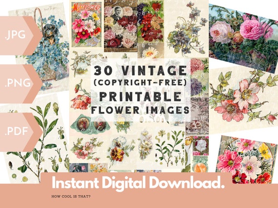 30 Copyright Free Printable Vintage Flower Images for Your - Etsy