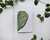 Hosta blad | A6 Notitieboekje | Hartvormige blad | Botanische Notebook | Gewone pagina 's