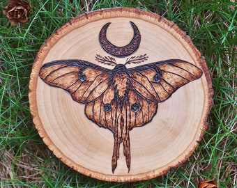 Luna Moth Wood Burning