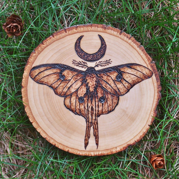 Luna Moth Wood Burning