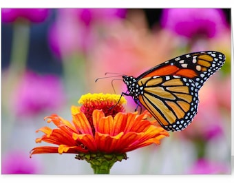 Vermont Photography Greeting Cards