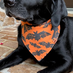Halloween Dog bandana halloween scarf halloween dog gift bat dog bandana dog costume black and orange dog bandana bat bandana