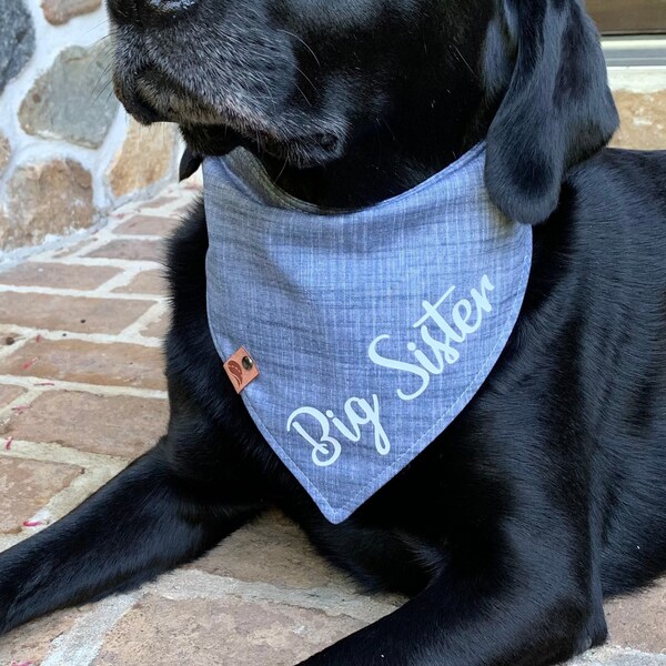 Chambray Dog Bandana Etsy