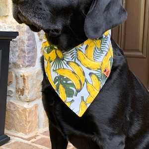 Tropical Dog bandana banana dog bandana palm leaf bandana summer dog bandana tropical dog scarf hawaiian dog scarf