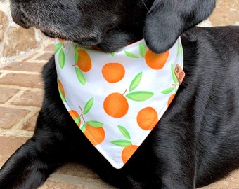 Summer Dog bandana orange bandana summer dog gift monogrammed dog bandana tangerine dog summer dog bandana summer dog scarf dog gift