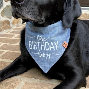 Dog birthday bandana clearance near me