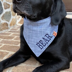 Monogram dog bandana hotsell