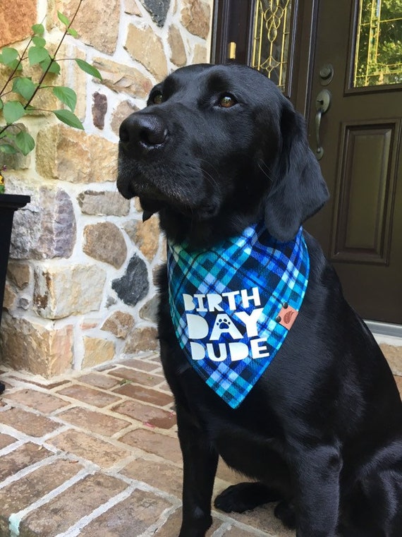 monogrammed dog bandana