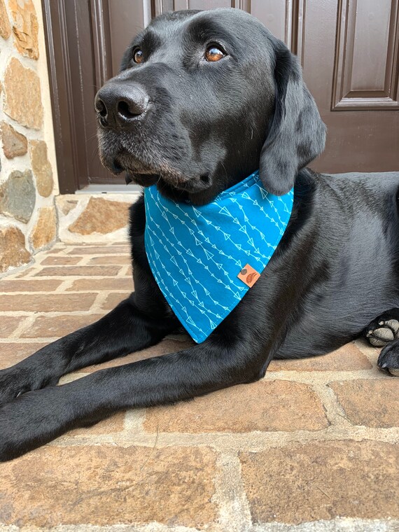 monogrammed dog bandana
