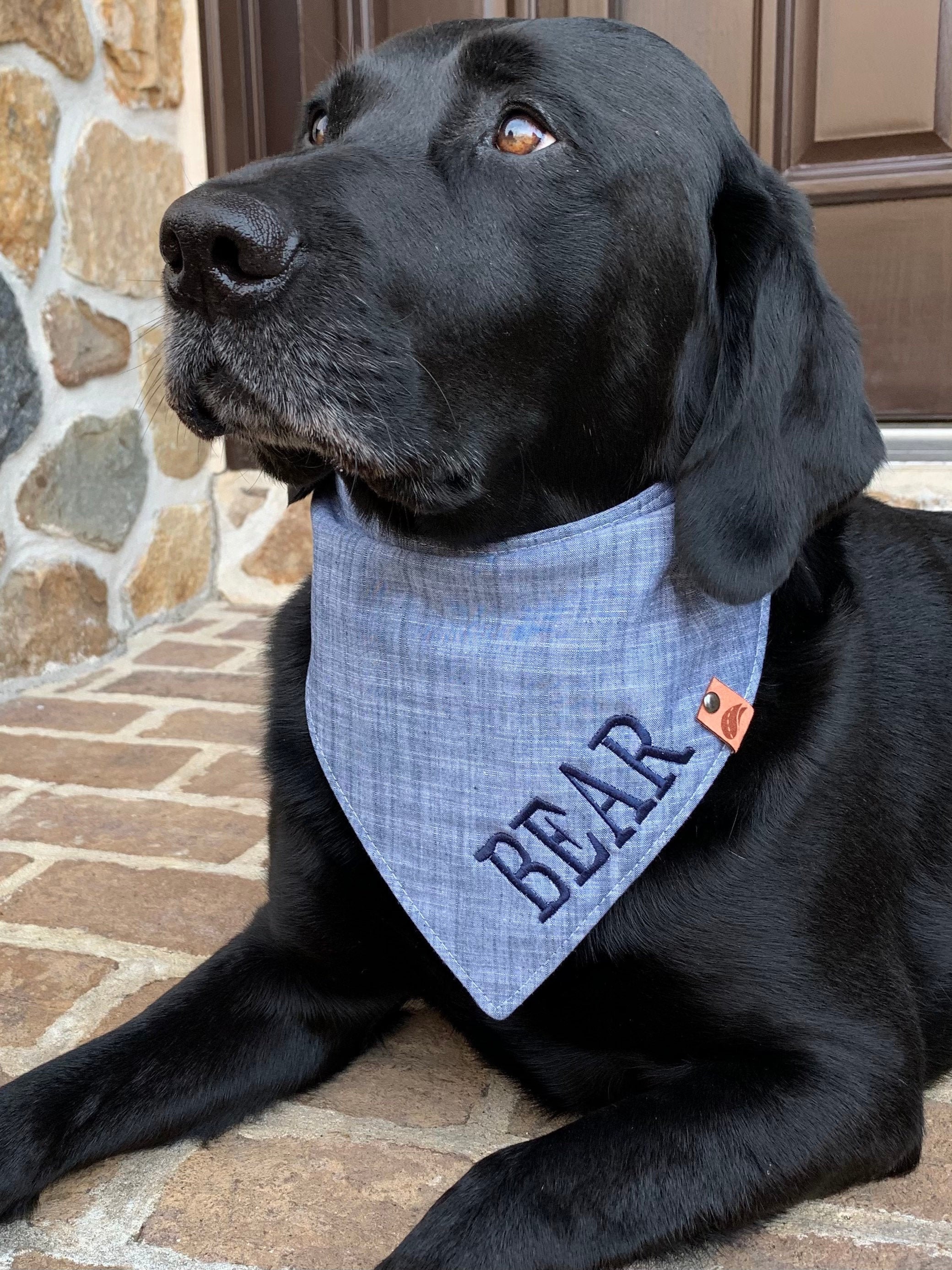 Patriotic Dog bandana personalized dog gift embroidered dog - Etsy