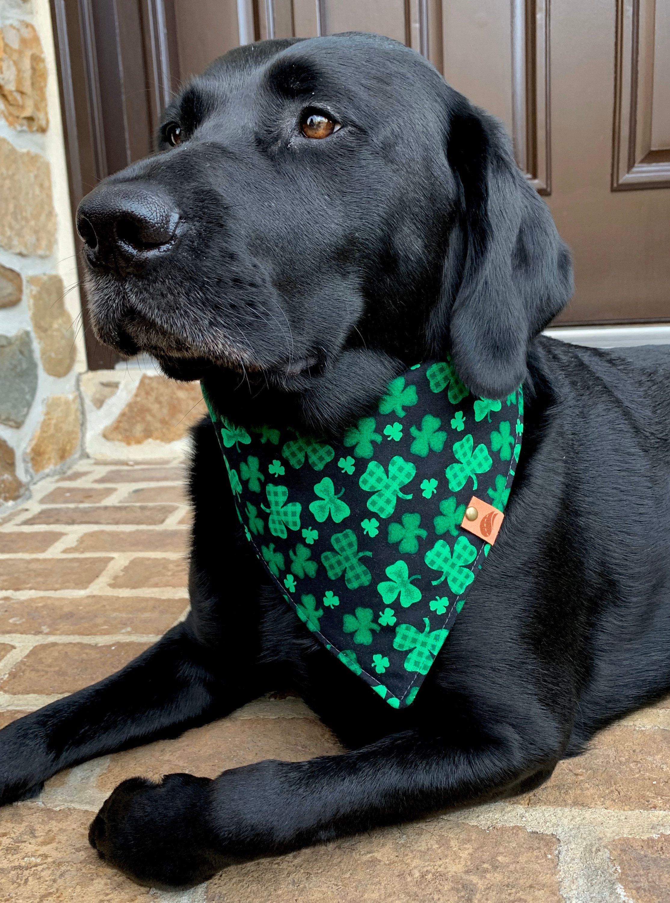 St Patricks Day Dog Bandana Clover Dog Bandana Green Dog Etsy