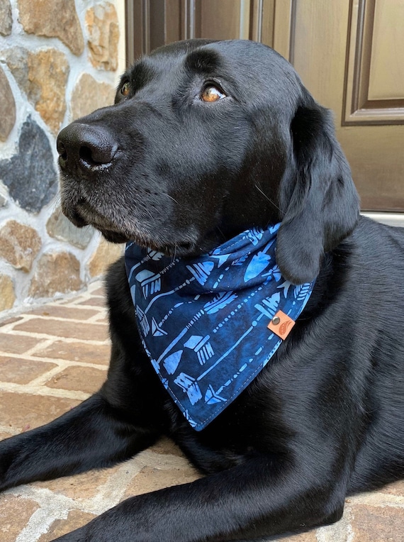monogrammed dog bandana