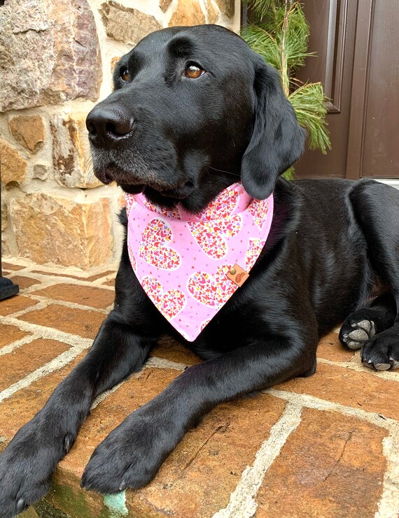 monogrammed dog bandana