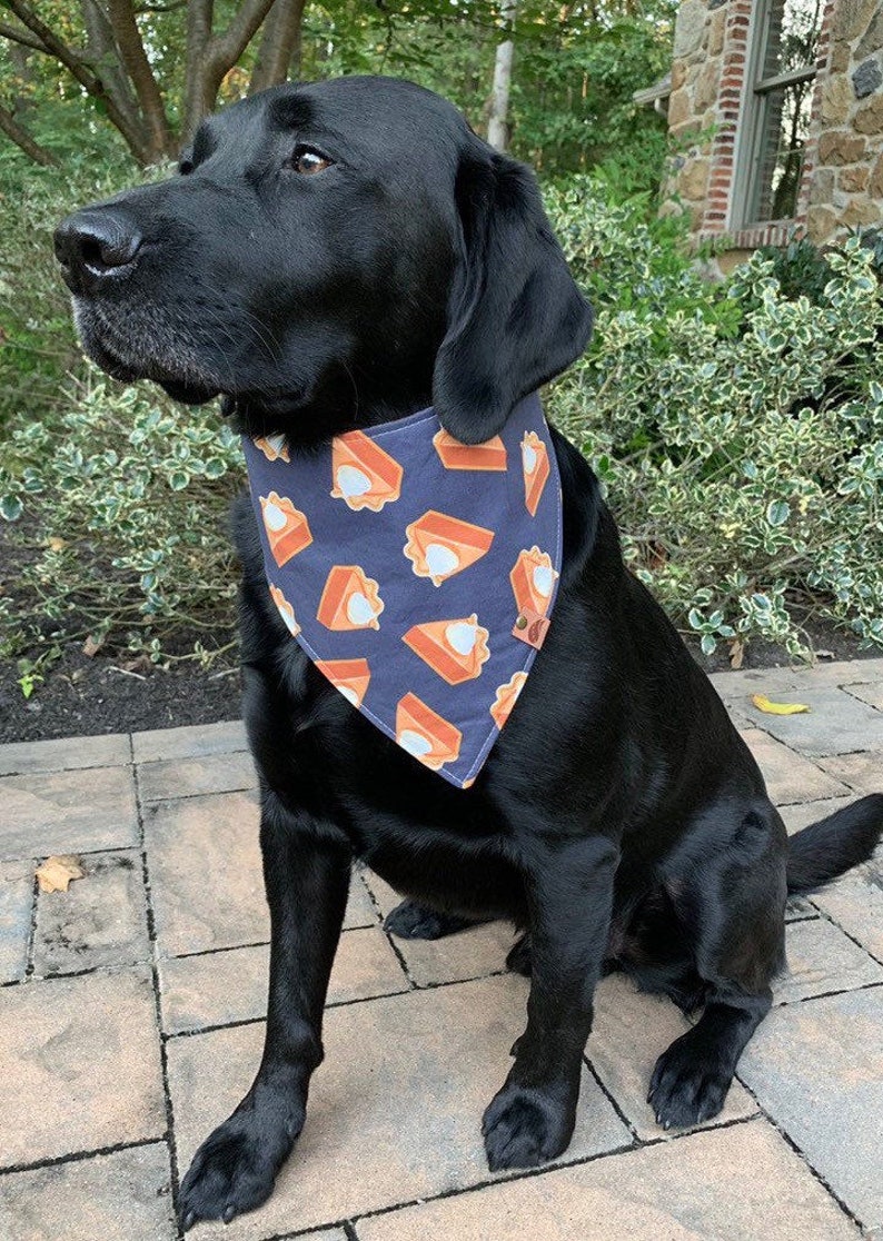 Thanksgiving Dog Bandana Thanksgiving Bandana Fall Dog bandana thanksgiving dog bandana monogrammed dog bandana pumpkin pie bandana image 1