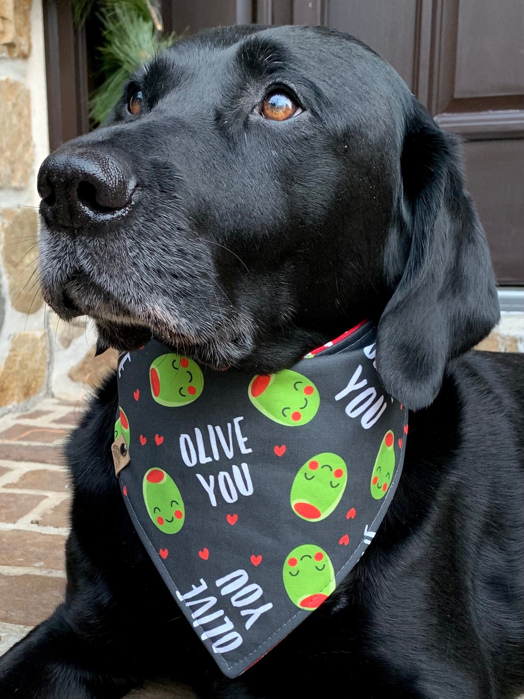 Are Dog Bandanas Safe