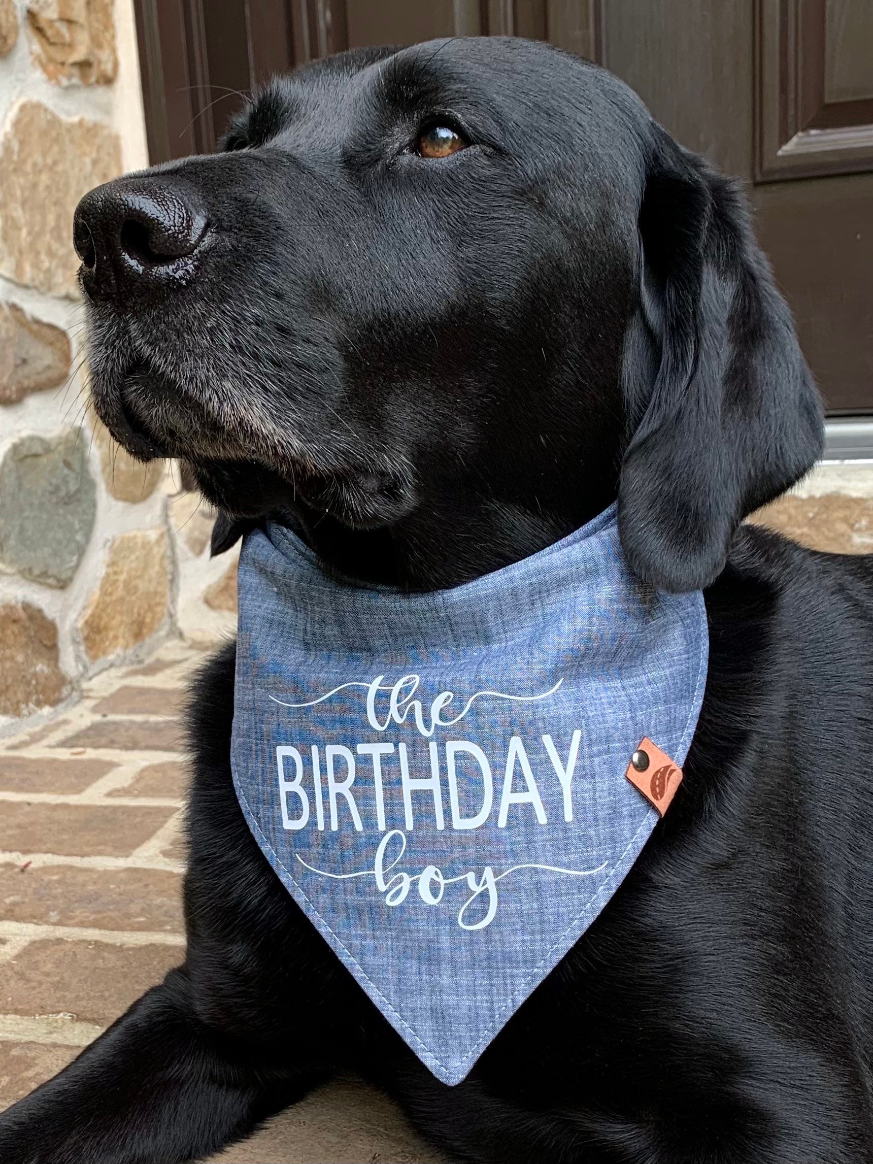 Geburtstag Hunde Bandana Geburtstag Hund Geschenk Etsy