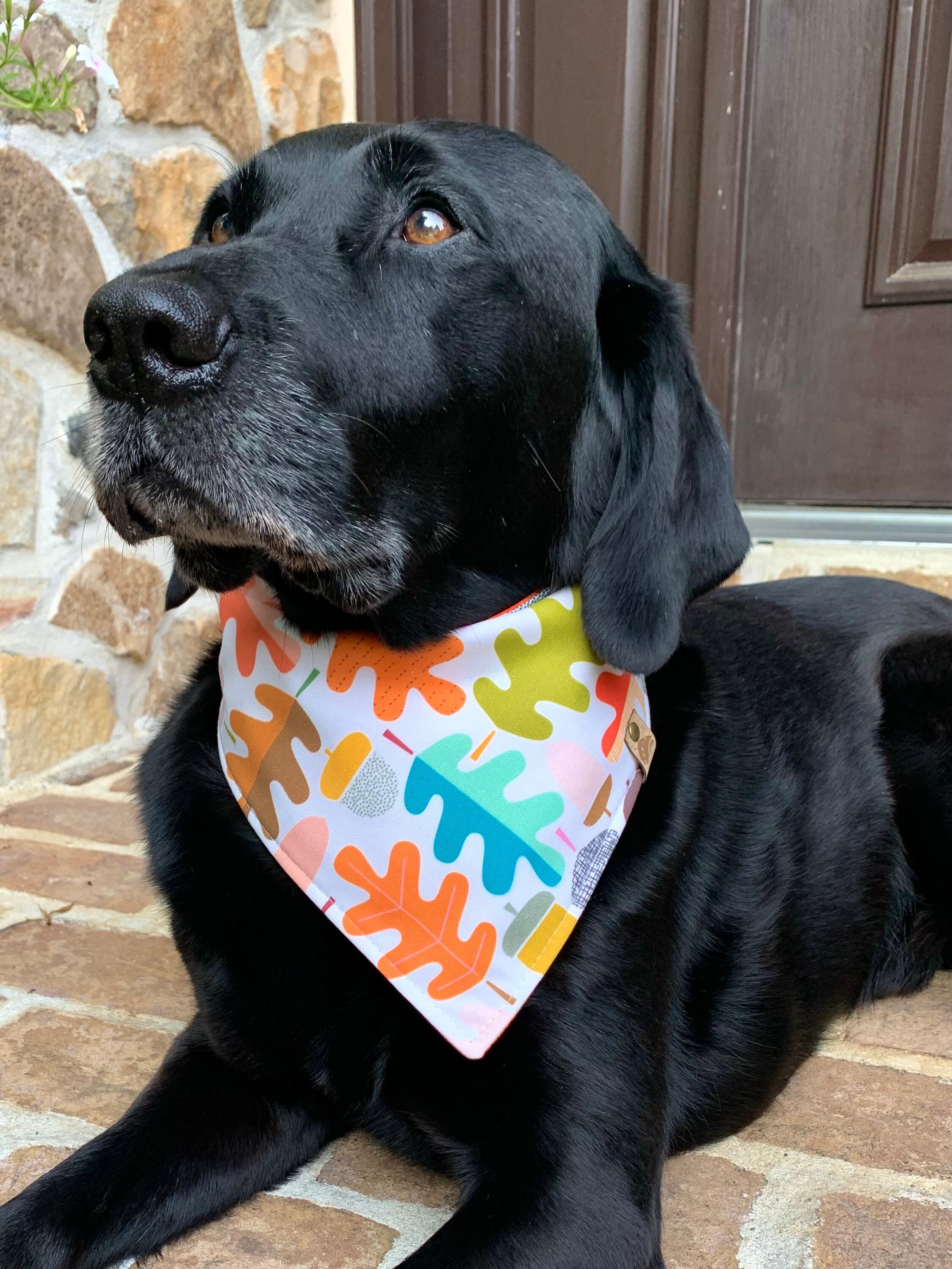 Black Lab Line Wreath Collar Note Block Black Lab Line Wreath Collar Note Block