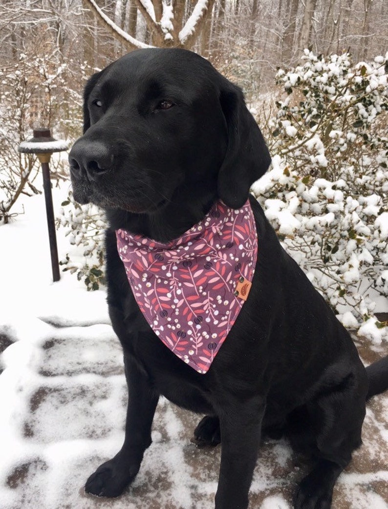 monogrammed dog bandana