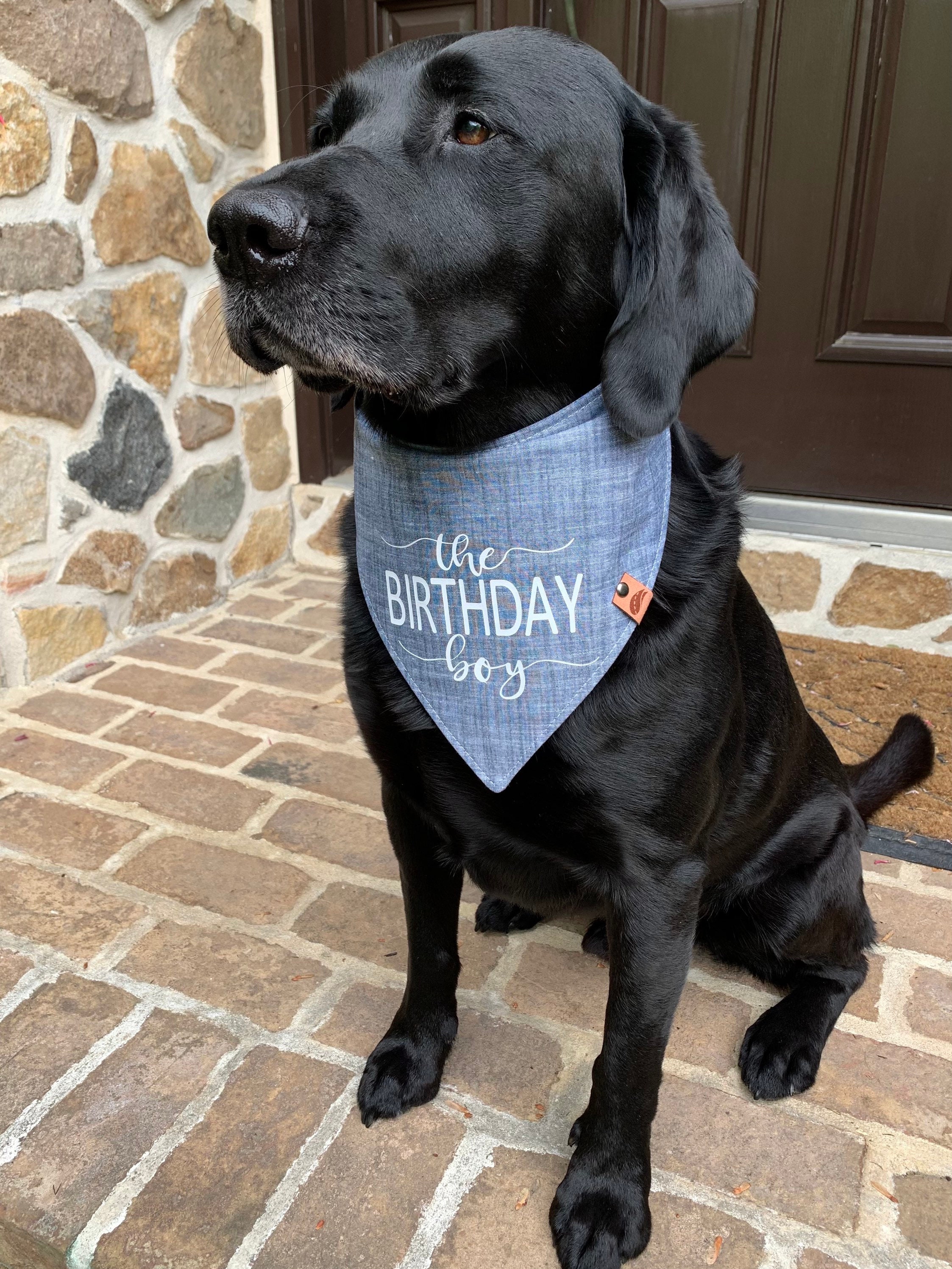 Geburtstag Hunde Bandana Geburtstag Hund Geschenk Etsy