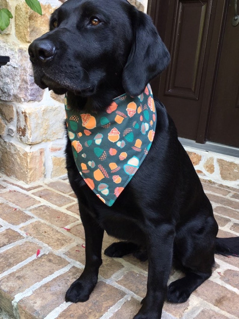 monogrammed dog bandana