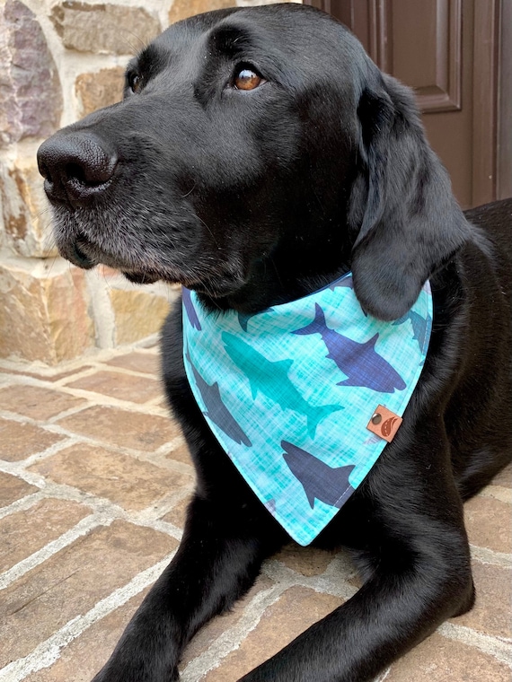 Monogrammed Bandana Personalized Bandana Bandana for 