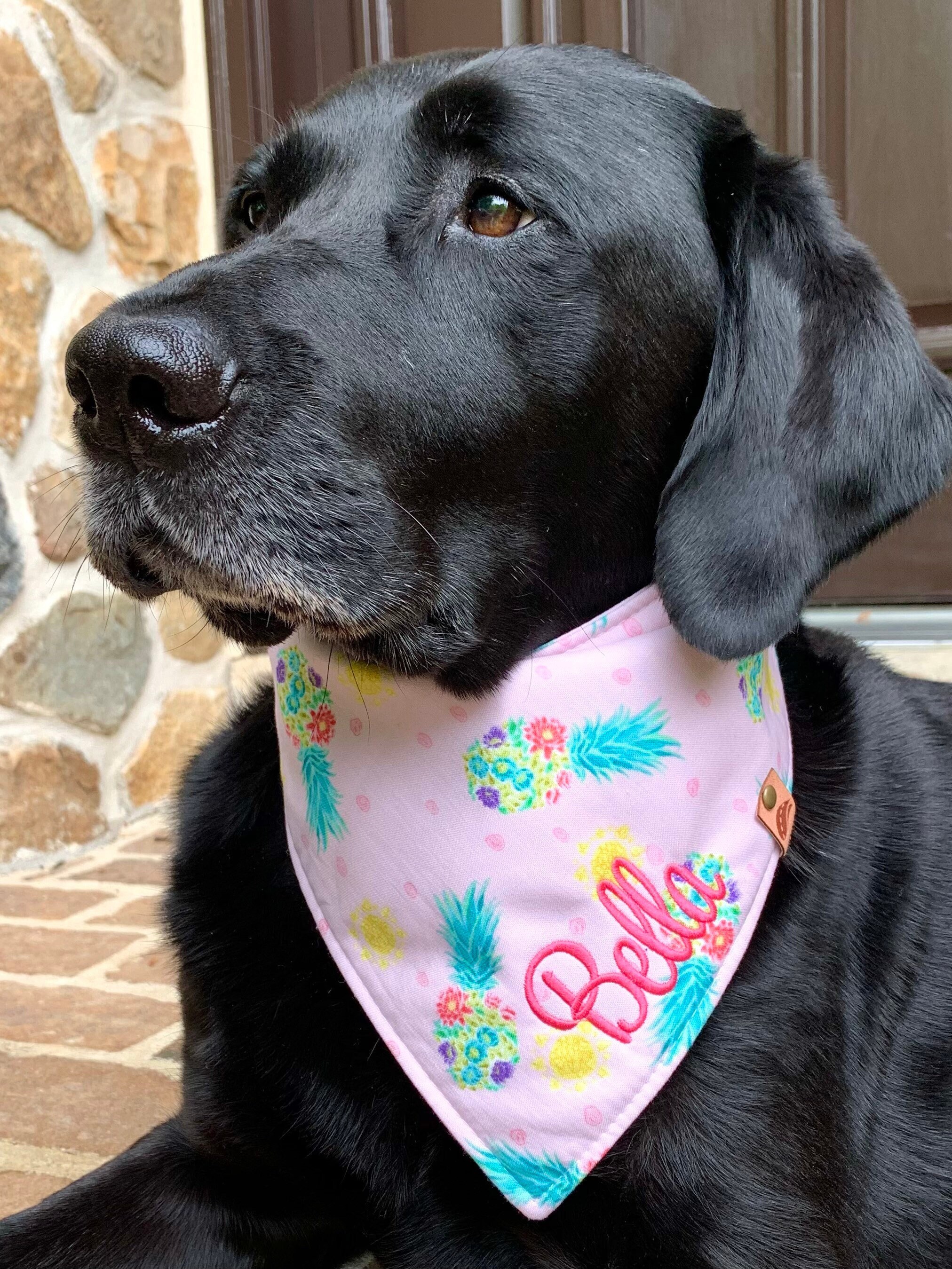 Pineapple dog bandana cheap
