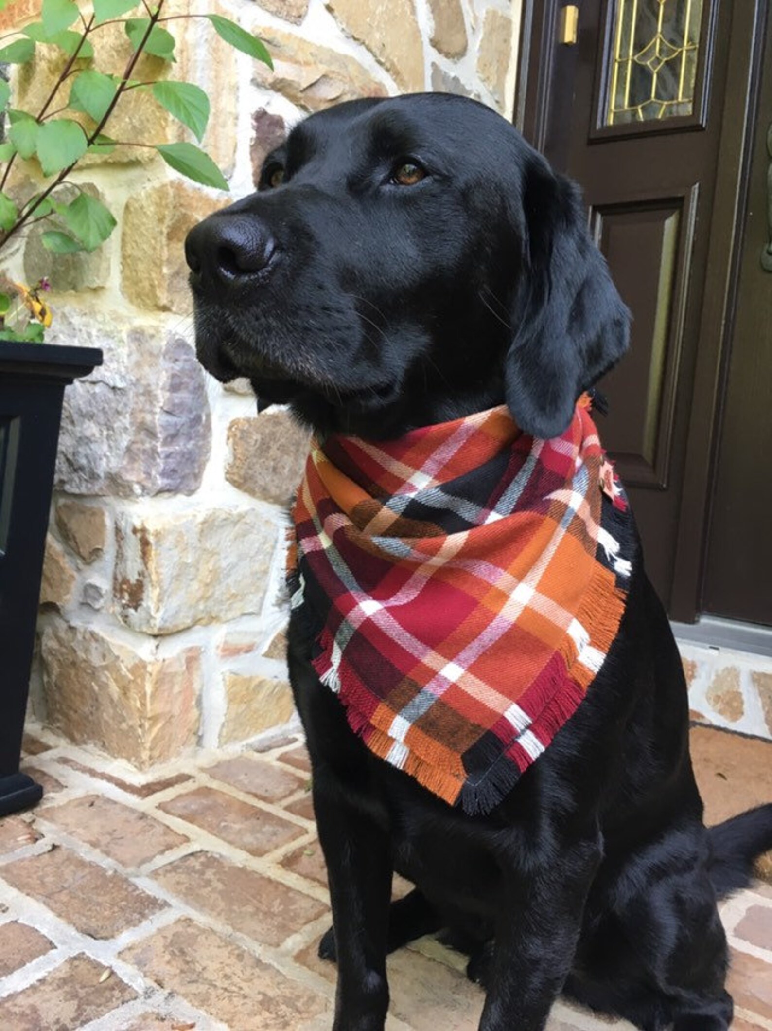 Dog Scarf Plaid Dog Scarf Fall Plaid Scarf Fall Bandana Dog | Etsy