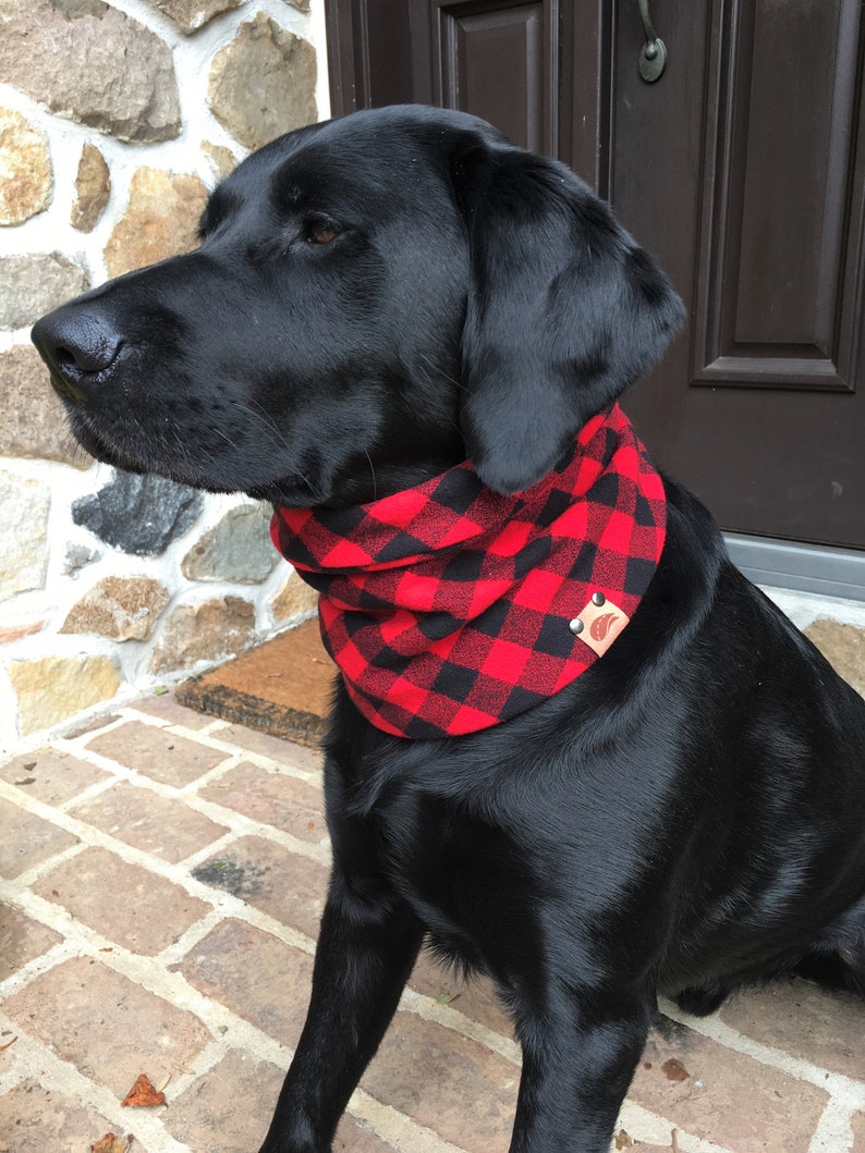 Fall dog scarf dog scarves fall dog buffalo plaid scarf plaid Etsy