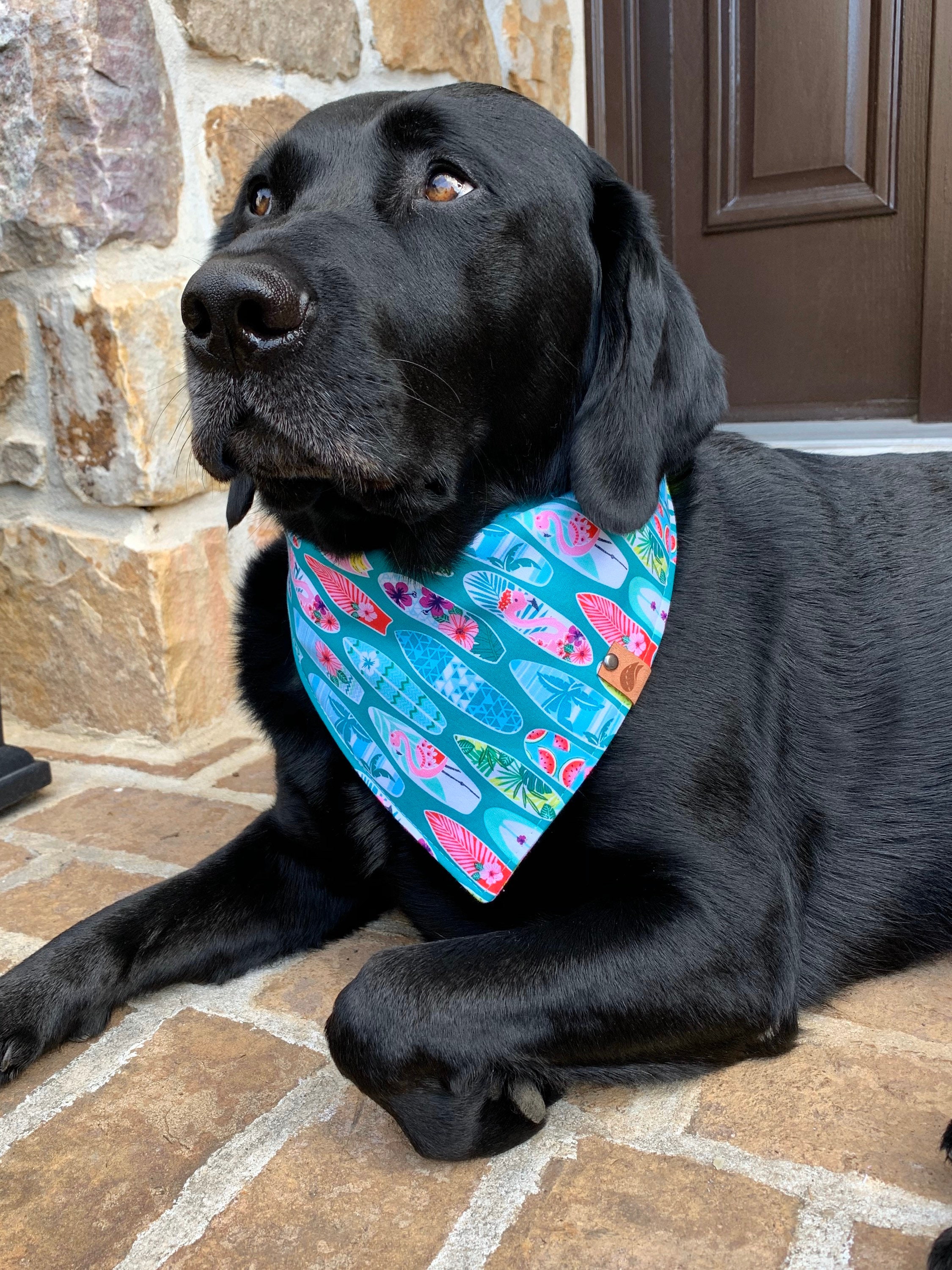 Summer Dog bandana surfboard bandana dog gift tropical bandana | Etsy
