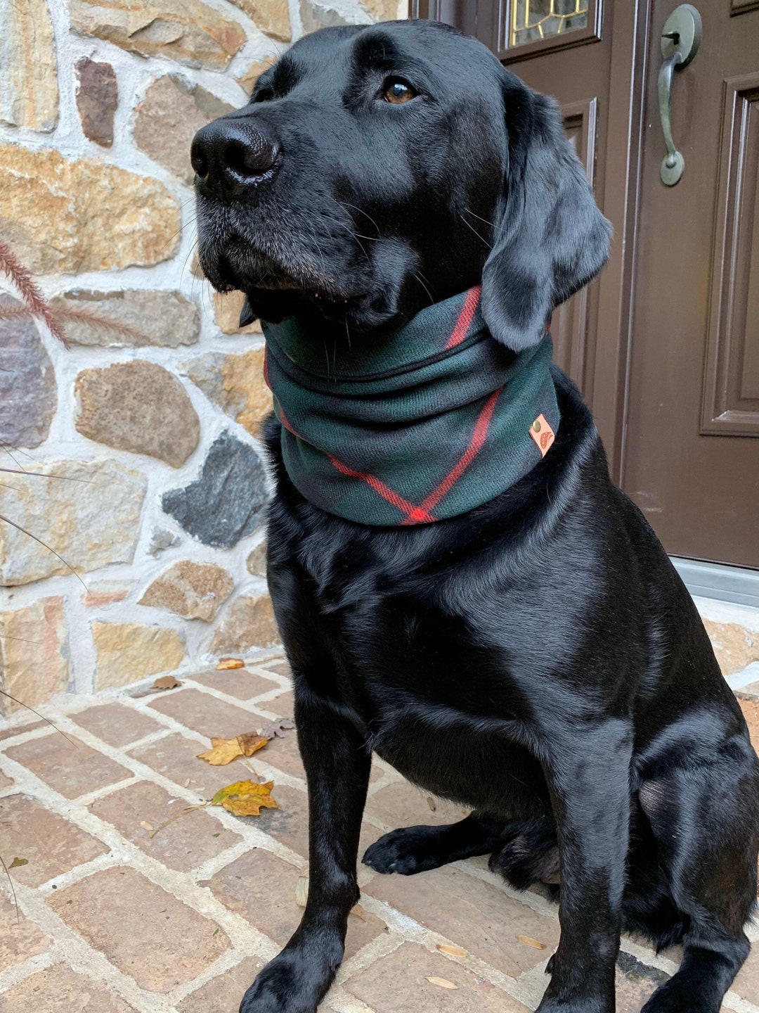 TARTAN PLAID SCARF Winter Dog Scarf Christmas Dog Christmas Etsy
