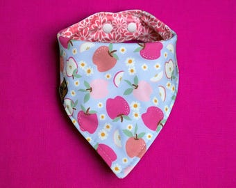 May include: A baby bib with a light blue background featuring pink apples and white daisies. The bib's reverse side has a pink floral pattern. It has two snap closures and a triangular shape.