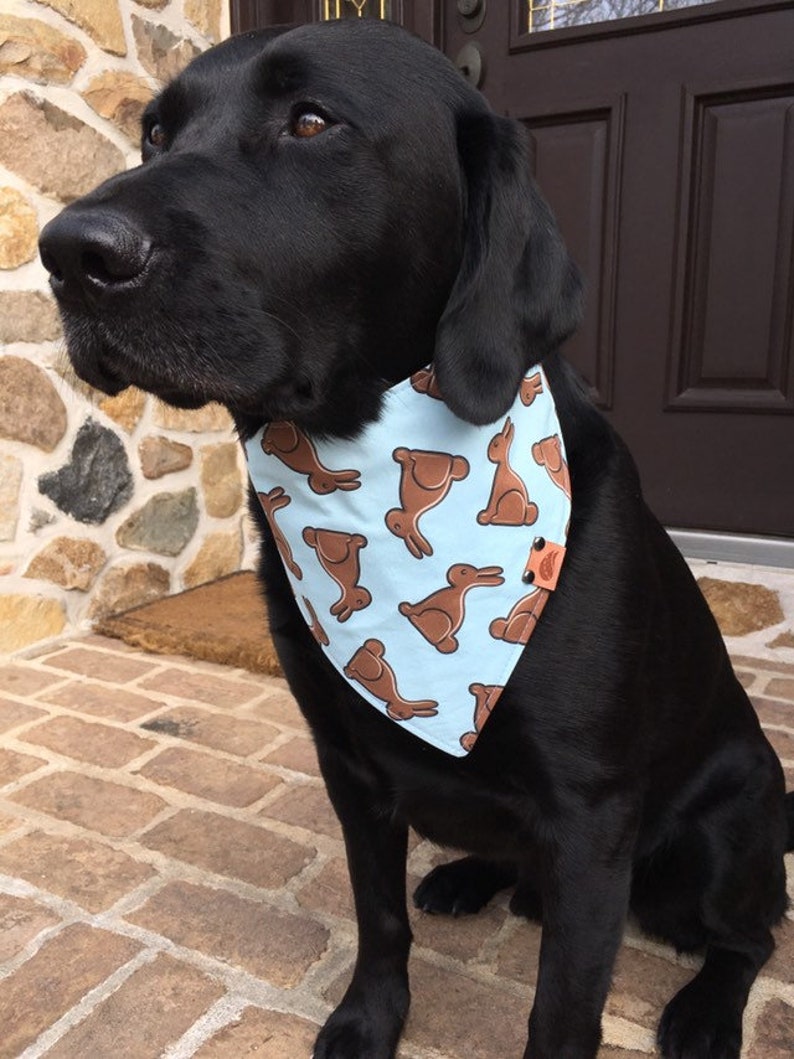 http://www.awin1.com/cread.php?awinaffid=304785&awinmid=6220&p=https%3A%2F%2Fwww.etsy.com%2Flisting%2F688710737%2Feaster-dog-bandana-easter-bandana-pastel%3Fref%3Dshop_home_active_20%26frs%3D1