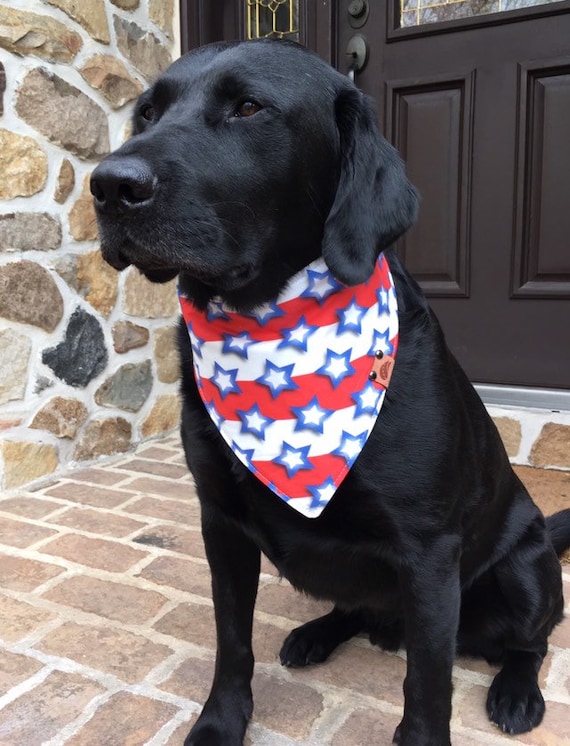 red white and blue dog bandana