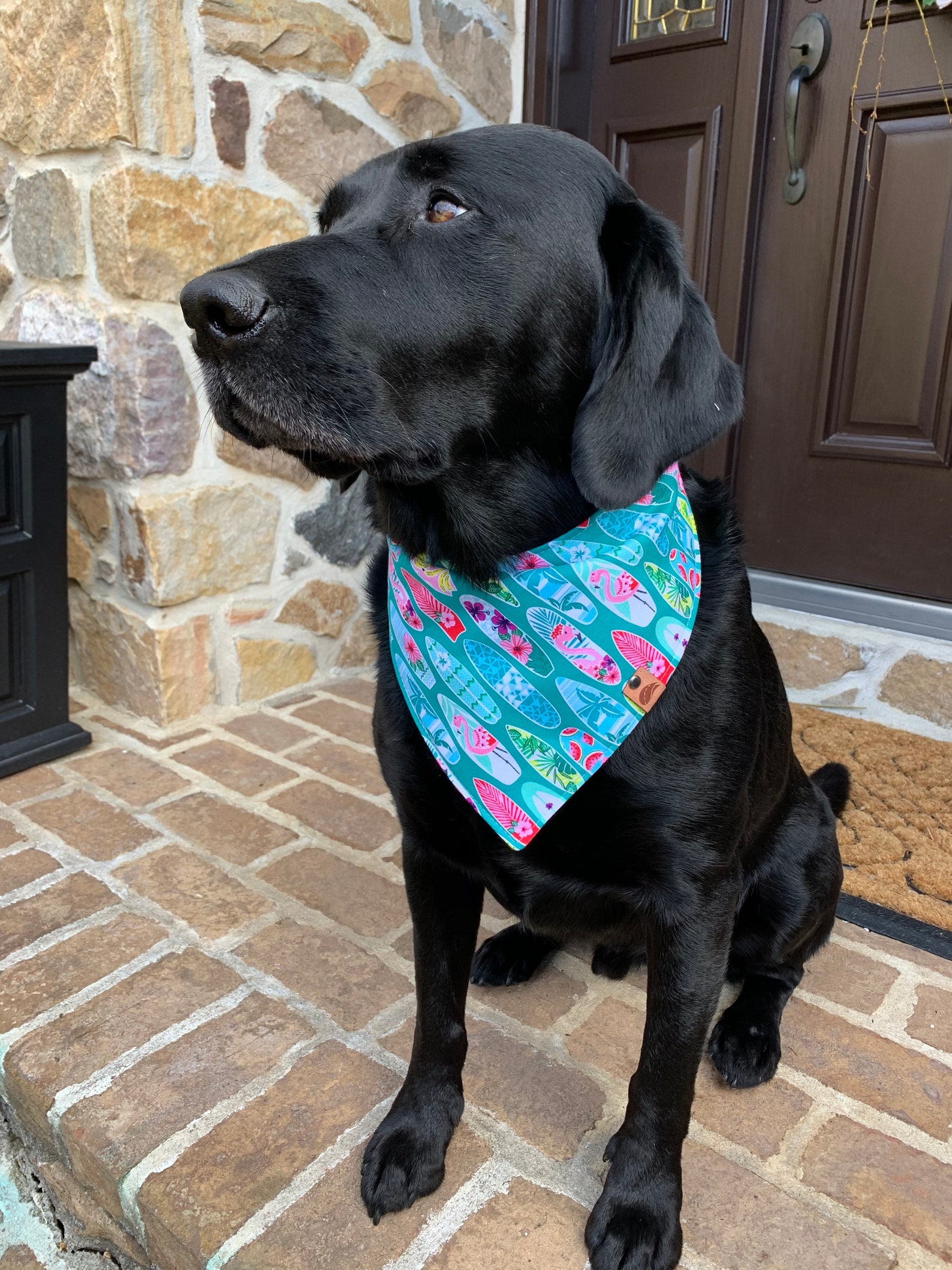 Summer Dog bandana surfboard bandana dog gift tropical bandana | Etsy