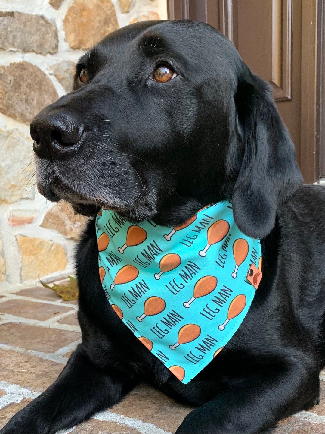 Thanksgiving Dog Bandana Thanksgiving Bandana Fall Dog Bandana Etsy