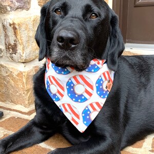 May include: A black Labrador Retriever wearing a white bandana with red and blue donut designs. The donuts have a red, white, and blue star pattern.