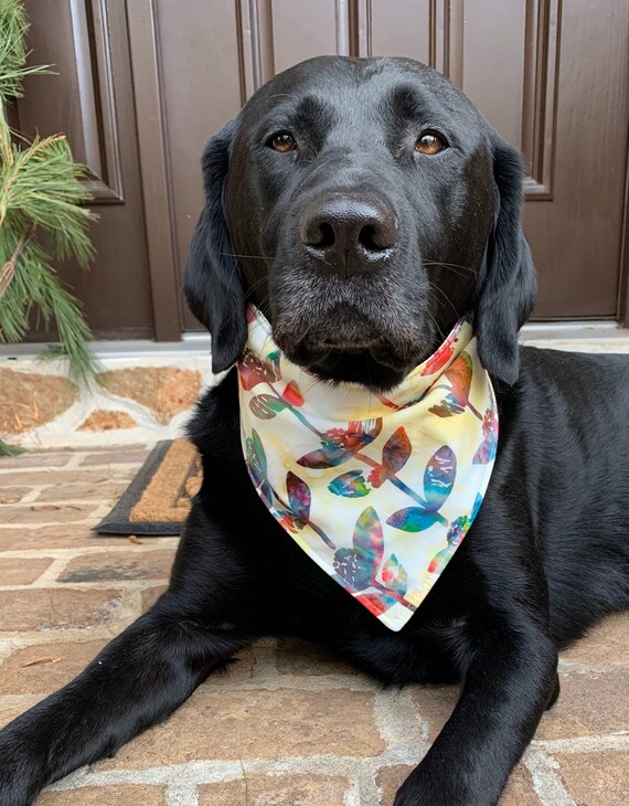 monogrammed dog bandana