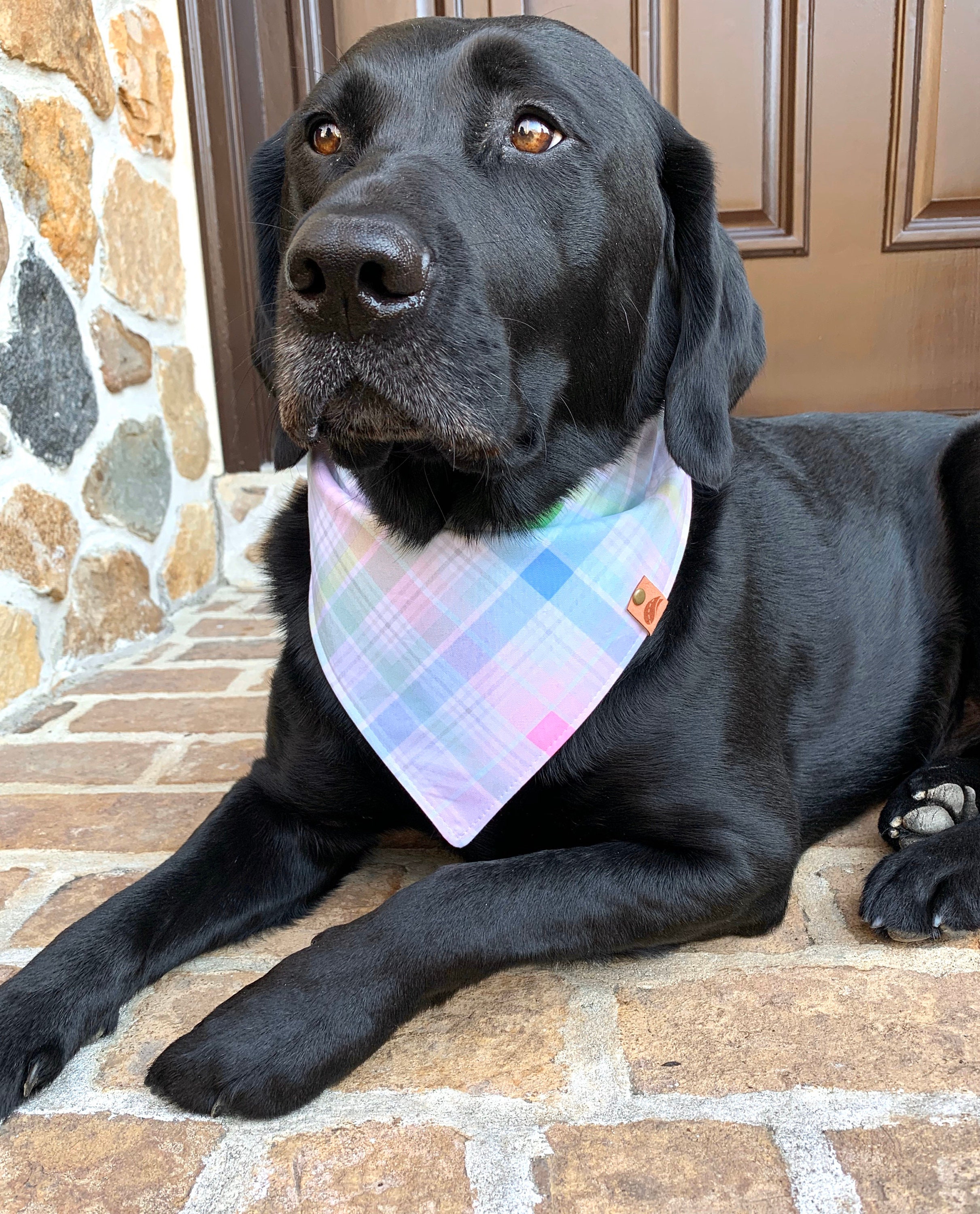 dog bandana easter