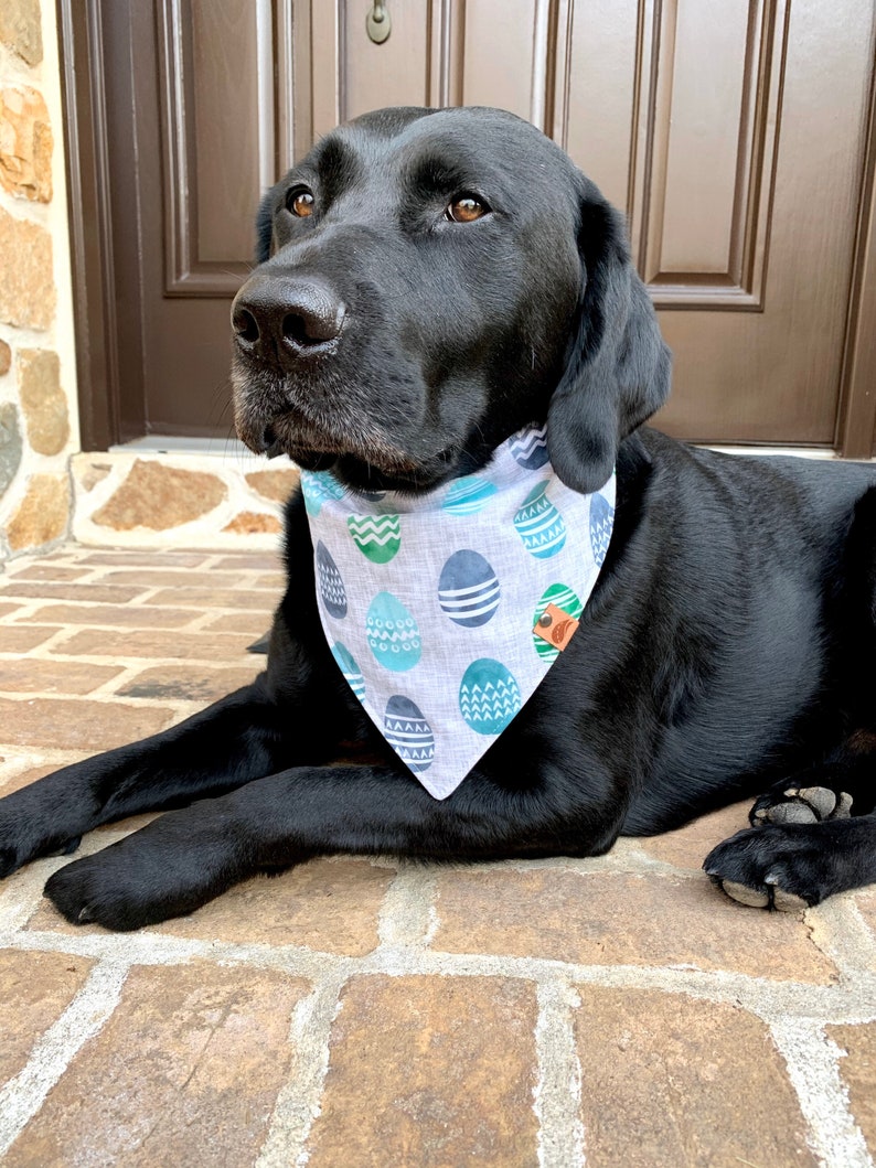 Easter Dog Bandana Easter Bandana Pastel Dog Bandana Easter Etsy