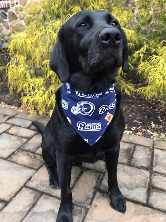 los angeles rams dog jersey