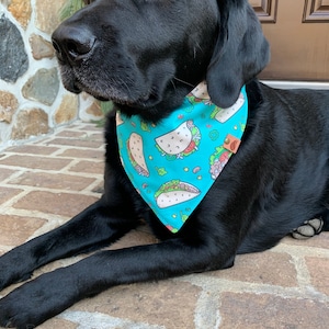 Cinco de mayo Dog bandana Taco Dog bandana taco dog scarf cinco de mayo dog gift monogrammed dog bandana taco dog gift embroidered dog gift