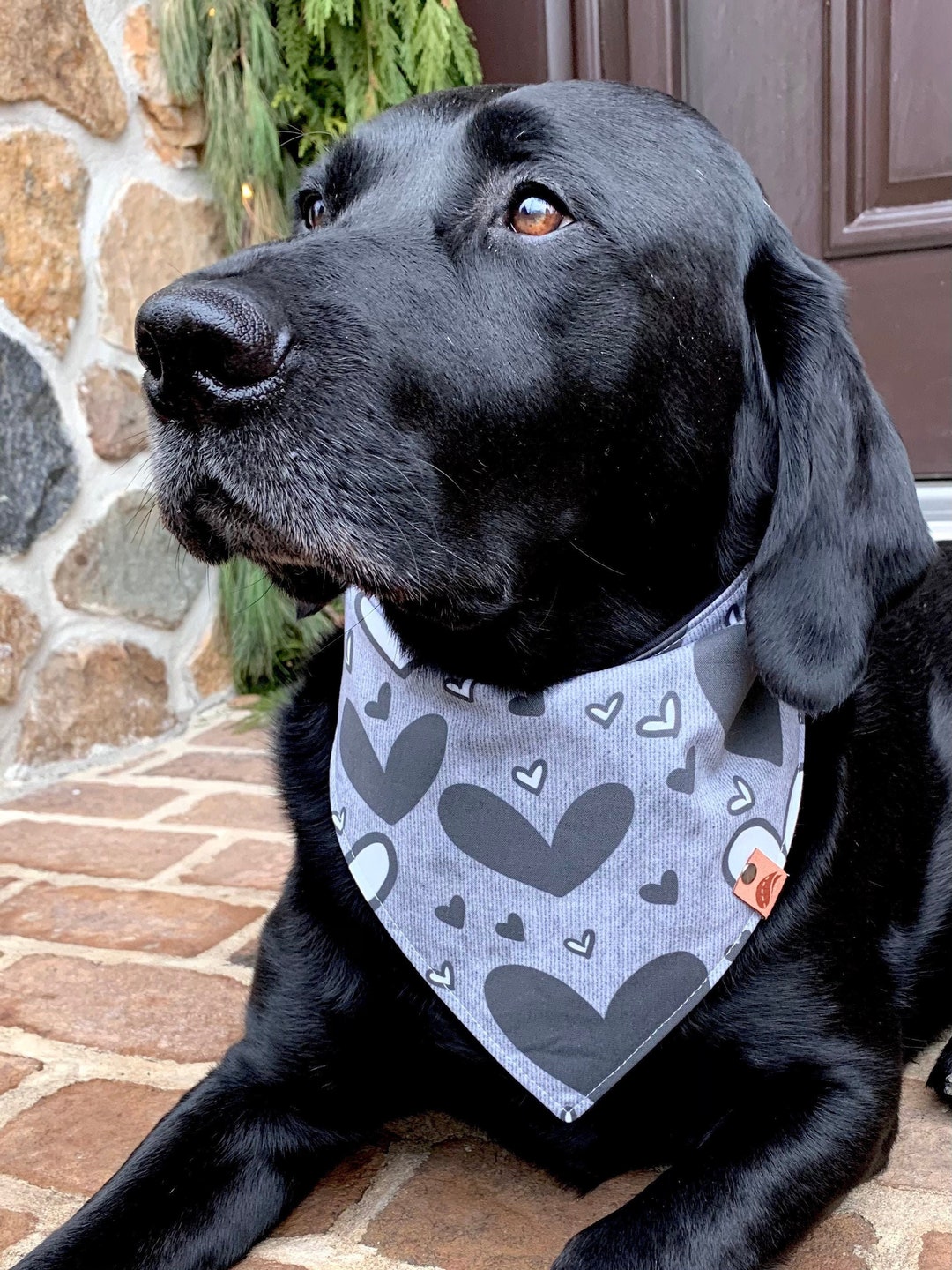 Valentine Dog Bandana Valentine Dog Gift Heart Dog Bandana Valentine